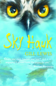 Sky Hawk cover